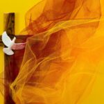 Empowering Everyone | Catholic Conscience †